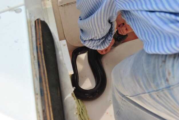 Извлечение сопла без лишних усилий: рекомендации и подсказки