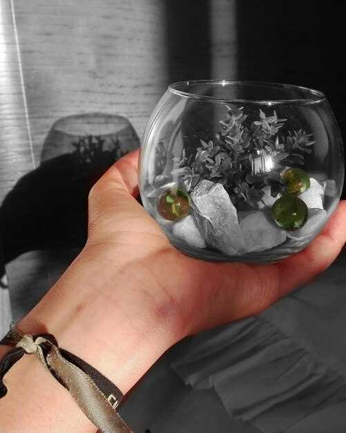 Настройка и проверка работоспособности системы