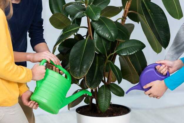 Осмотр существующей системы тормозов и руля