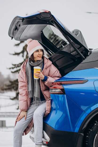 Совместимость с конструкцией Nissan AD и монтажными системами