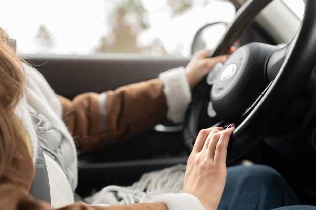 Поломка или износ рабочего цилиндра и его компонентов