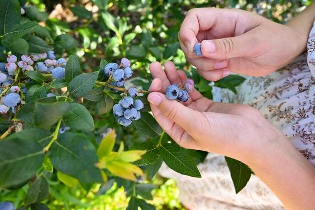 Установка новой ГБЦ: пошаговая инструкция