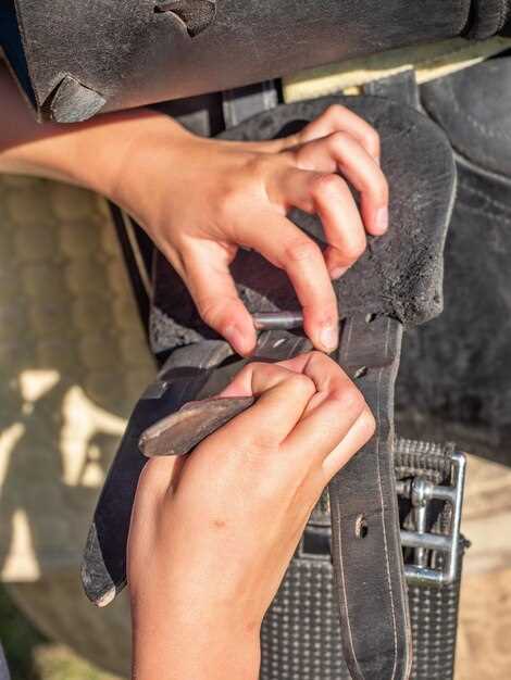 Разбор конструкции пневмошасси и особенности работы системы